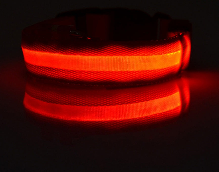 Rechargeable LED Safety Light