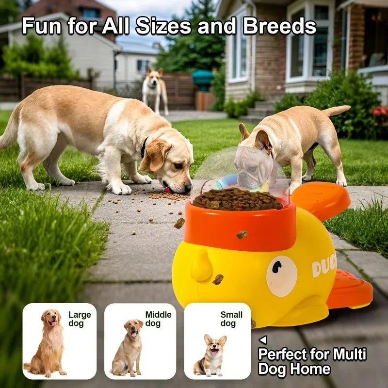 Intelligent Pet Feeder