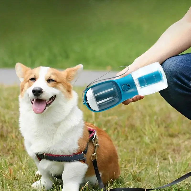 Three-in-one Pet Cup