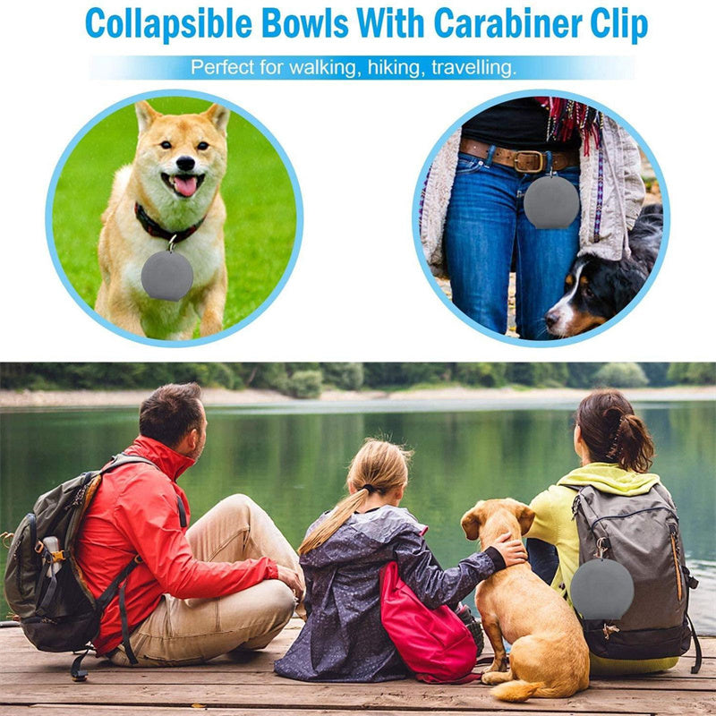Outdoor Folding Double Bowl