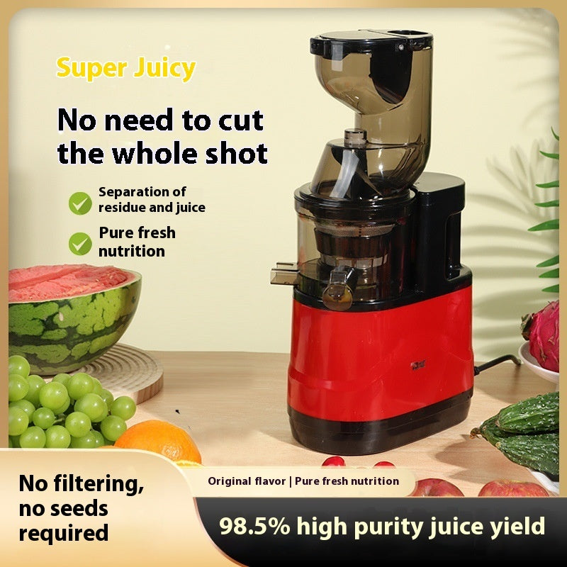 Automatic Fruit Slow Press Juicer