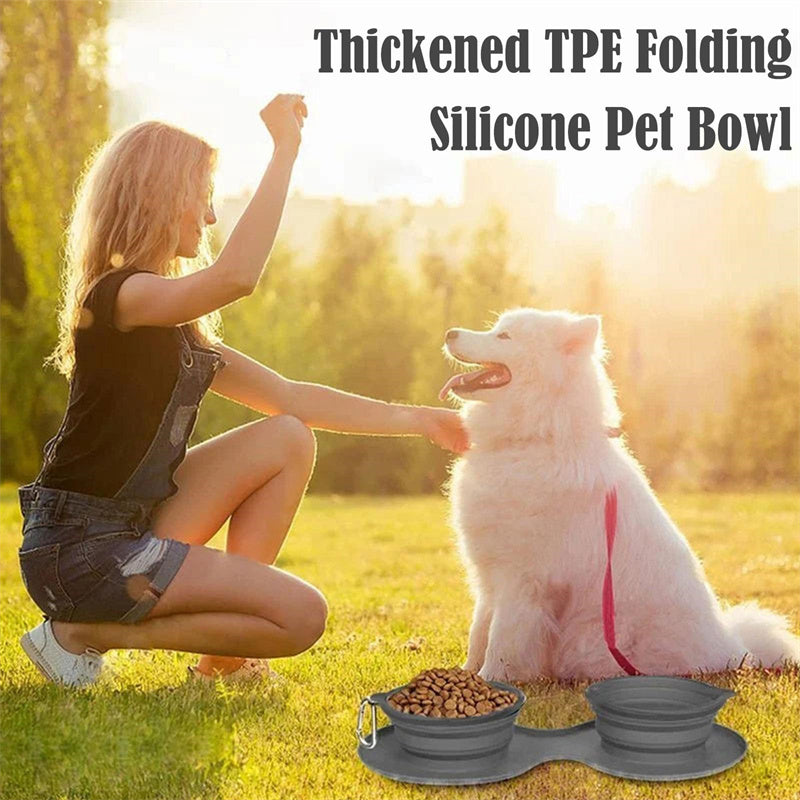 Outdoor Folding Double Bowl