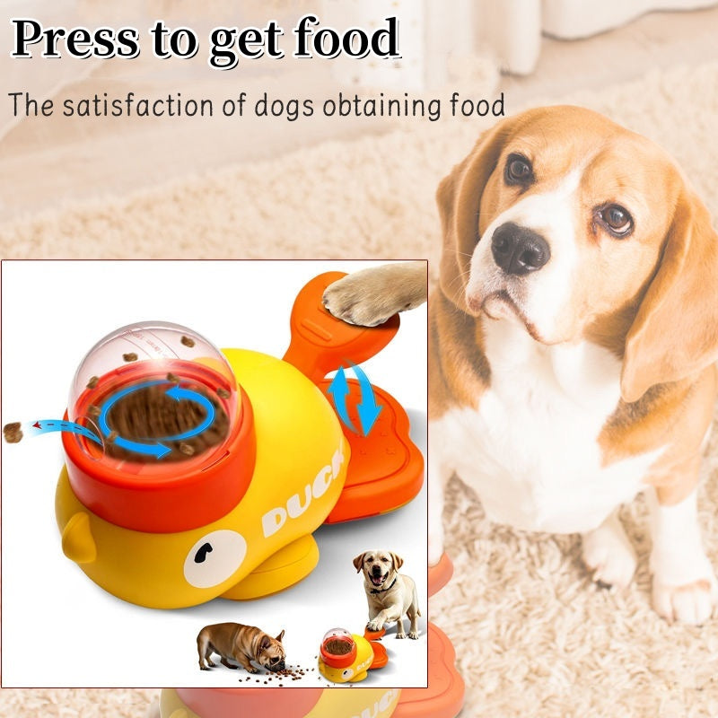 Intelligent Pet Feeder