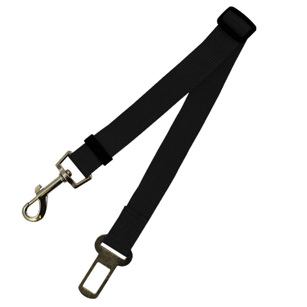 Dog Leash