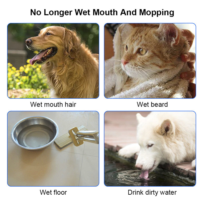 Pet floating water bowl