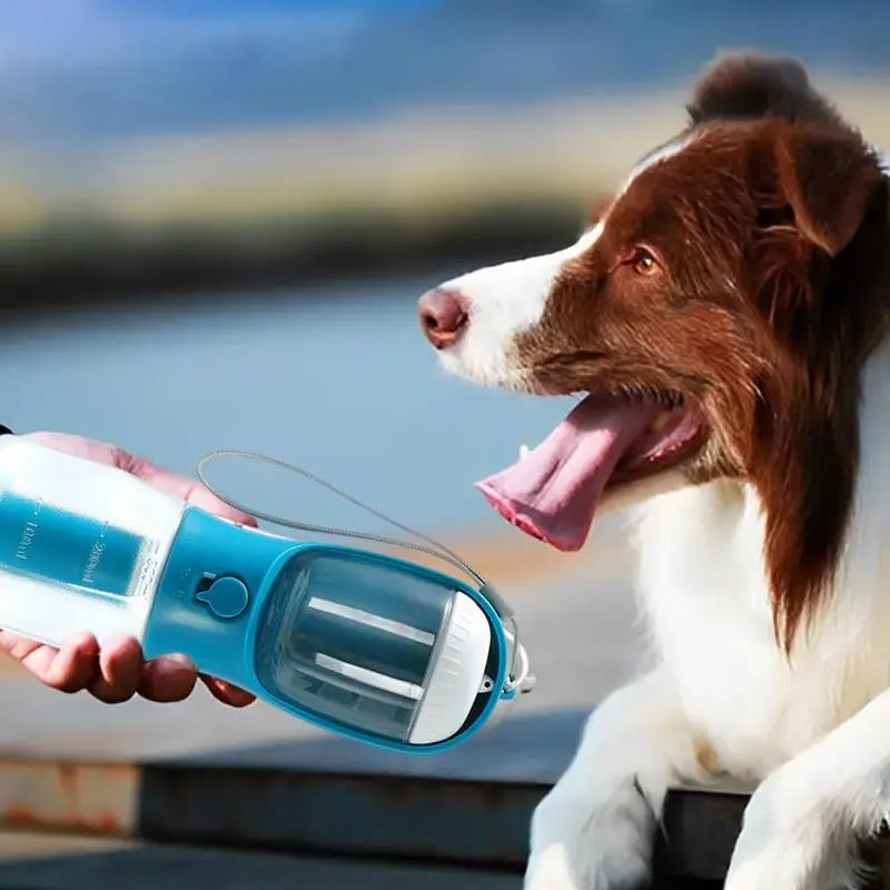 Three-in-one Pet Cup