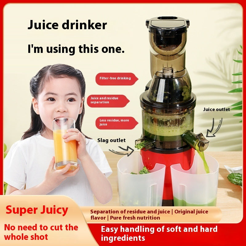 Automatic Fruit Slow Press Juicer