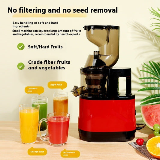 Automatic Fruit Slow Press Juicer
