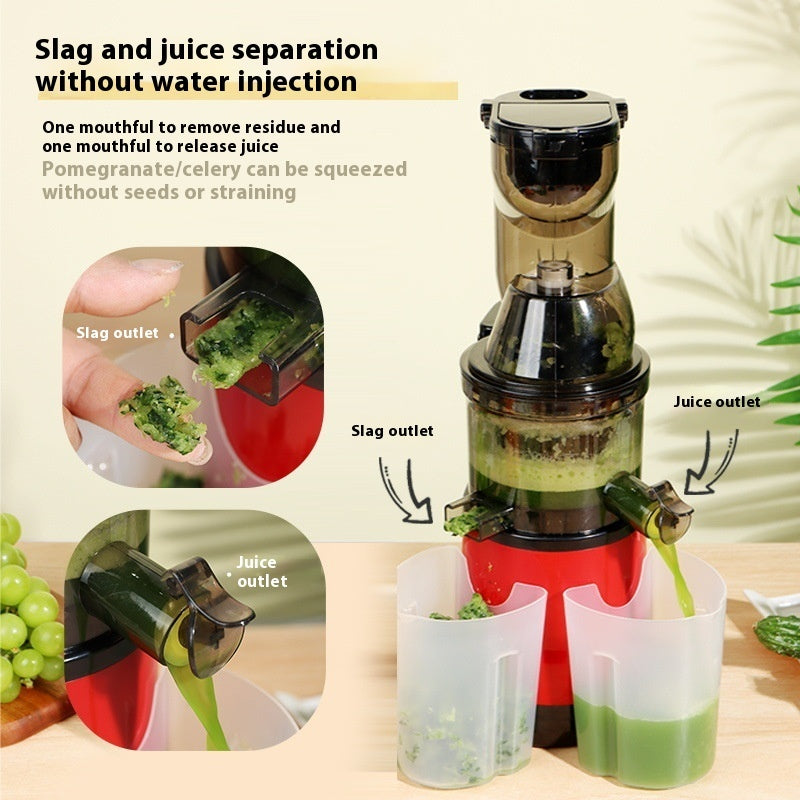 Automatic Fruit Slow Press Juicer
