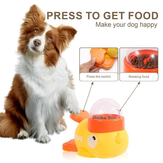 Intelligent Pet Feeder